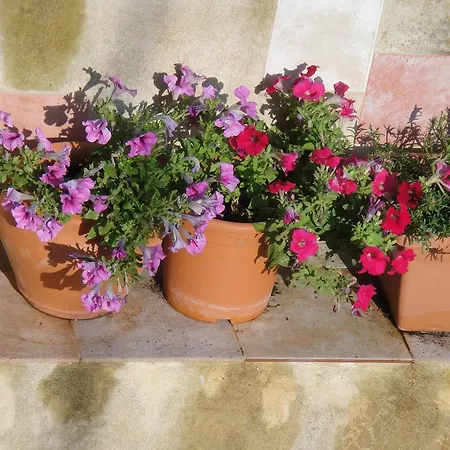 Apartamento Barbara's Maisonette Argostoli (Kefalonia)